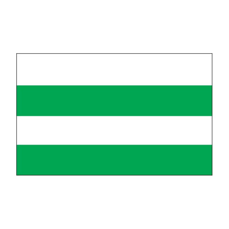Nomme Tallinn Flag N2834 A4 Photo Print