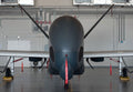 Northrop Grumman Rq4 Global Hawk High Altitude Long Endurance Uav Usa 14 A4 Photo Print