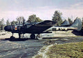 Northrop P61 Blackwidow 6 A4 Photo Print