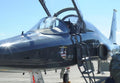 Northrop T38 Talon 6 A4 Photo Print