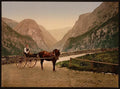 Norwegian carriage Hardanger Fjord Vintage A4 Photo Print