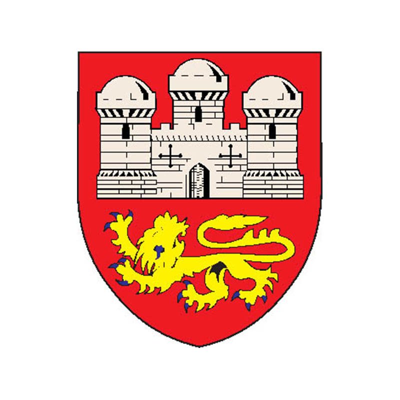 Norwich City Coat Of Arms N4490 A4 Photo Print