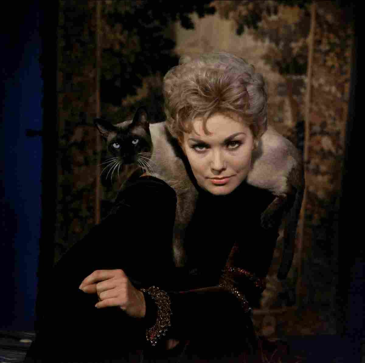 Novak Kim Bell Book & C&le z3 film star poster A4 Photo Print