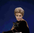 Novak Kim Bell Book & C&le z4 film star poster A4 Photo Print
