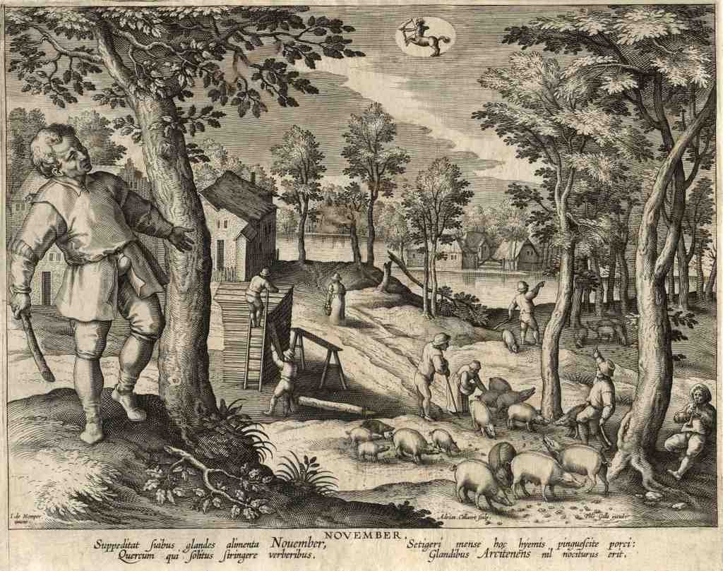 November 16thc Vintage A4 Photo Print