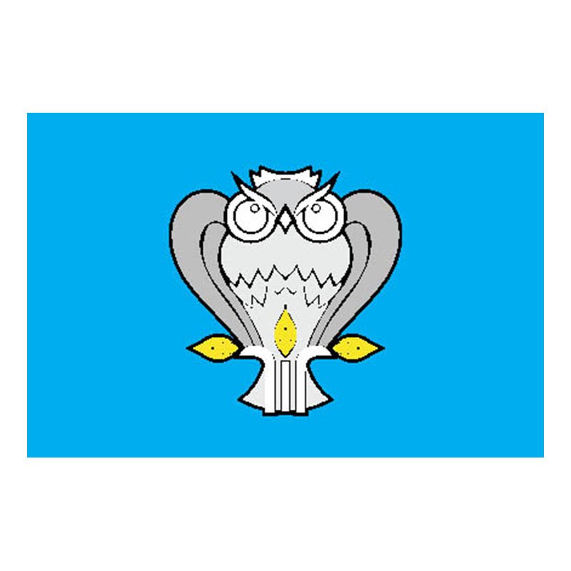 Novyurengoy City Flag N684 A4 Photo Print