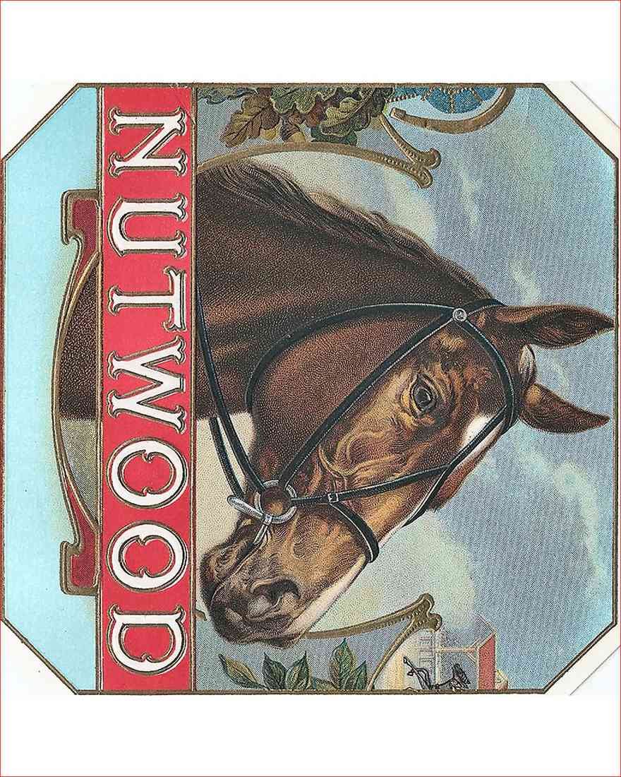 Nutwood Horse A4 Photo Print