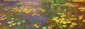 Nympheas Water Plantes A4 Photo Print