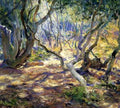Oak Grove Carmel 1919 A4 Photo Print