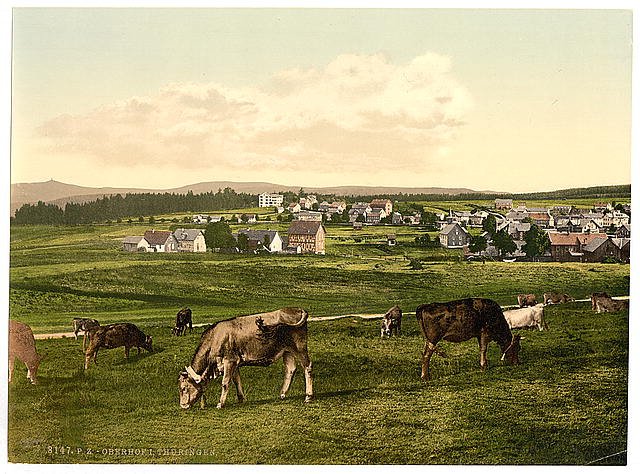 Oberhof I Thuringia Vintage A4 Photo Print