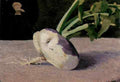 Odilon Redon 11 A4 Photo Print