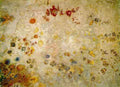 Odilon Redon 12 A4 Photo Print