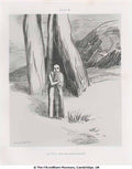 Odilon Redon a madman in a dismal landscape 1885 Art A4 Photo Print