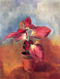 Odilon Redon begonia in a pot Art A4 Photo Print