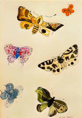 Odilon Redon butterflies Art A4 Photo Print