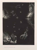 Odilon Redon different peoples inhabit the countries of the ocean pla Art A4 Photo Print