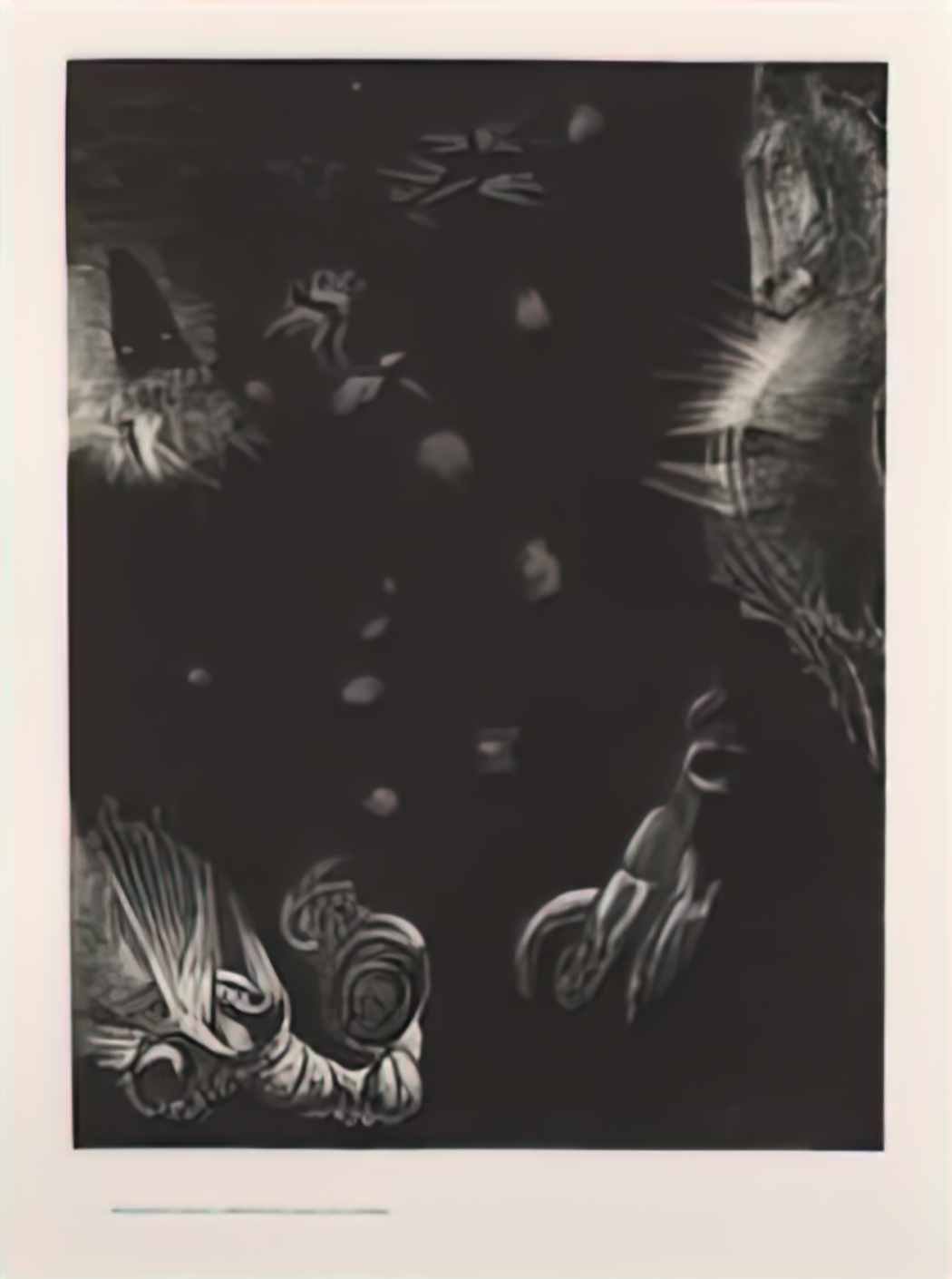 Odilon Redon different peoples inhabit the countries of the ocean pla Art A4 Photo Print