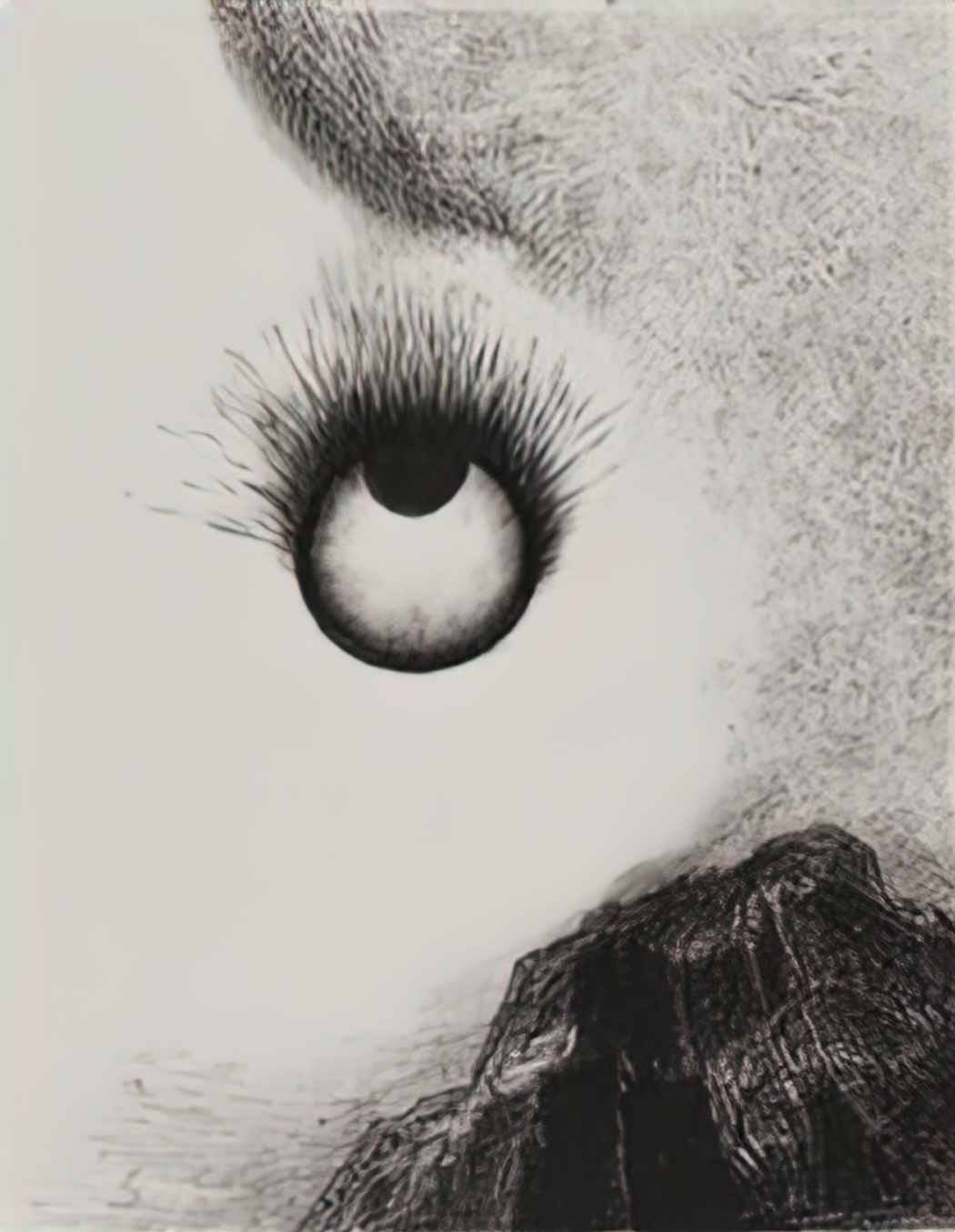 Odilon Redon everywhere eyeballs are aflame 1888 Art A4 Photo Print