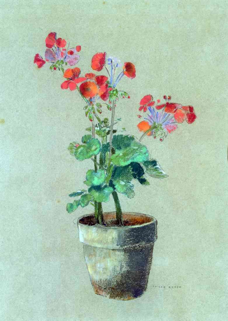 Odilon Redon geraniums 1902 2 2 A4 Photo Print