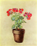 Odilon Redon geraniums 1902 Art A4 Photo Print