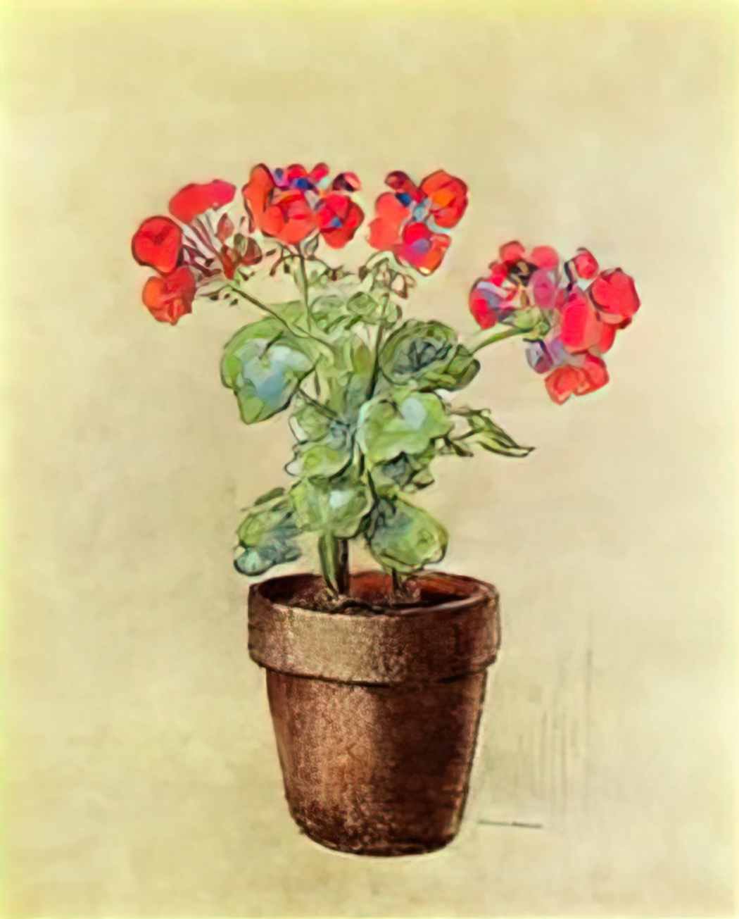 Odilon Redon geraniums 1902 Art A4 Photo Print