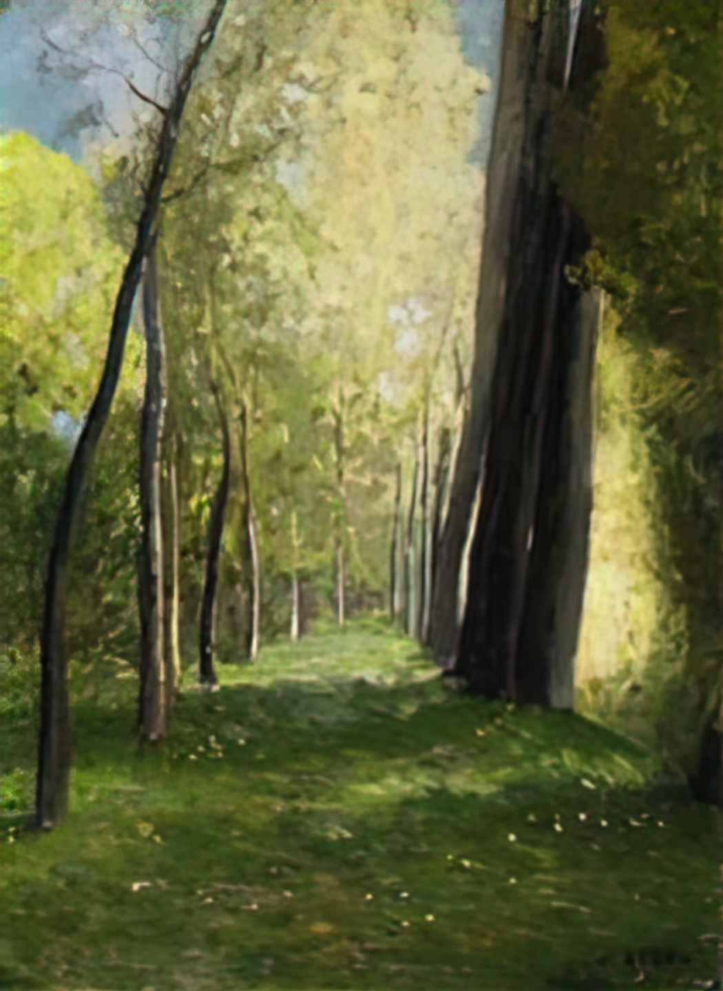 Odilon Redon lane of trees Art A4 Photo Print
