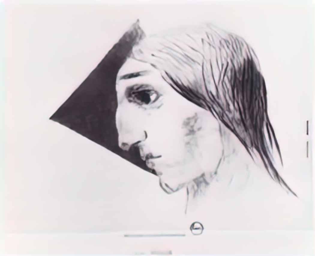 Odilon Redon madness 1882 Art A4 Photo Print