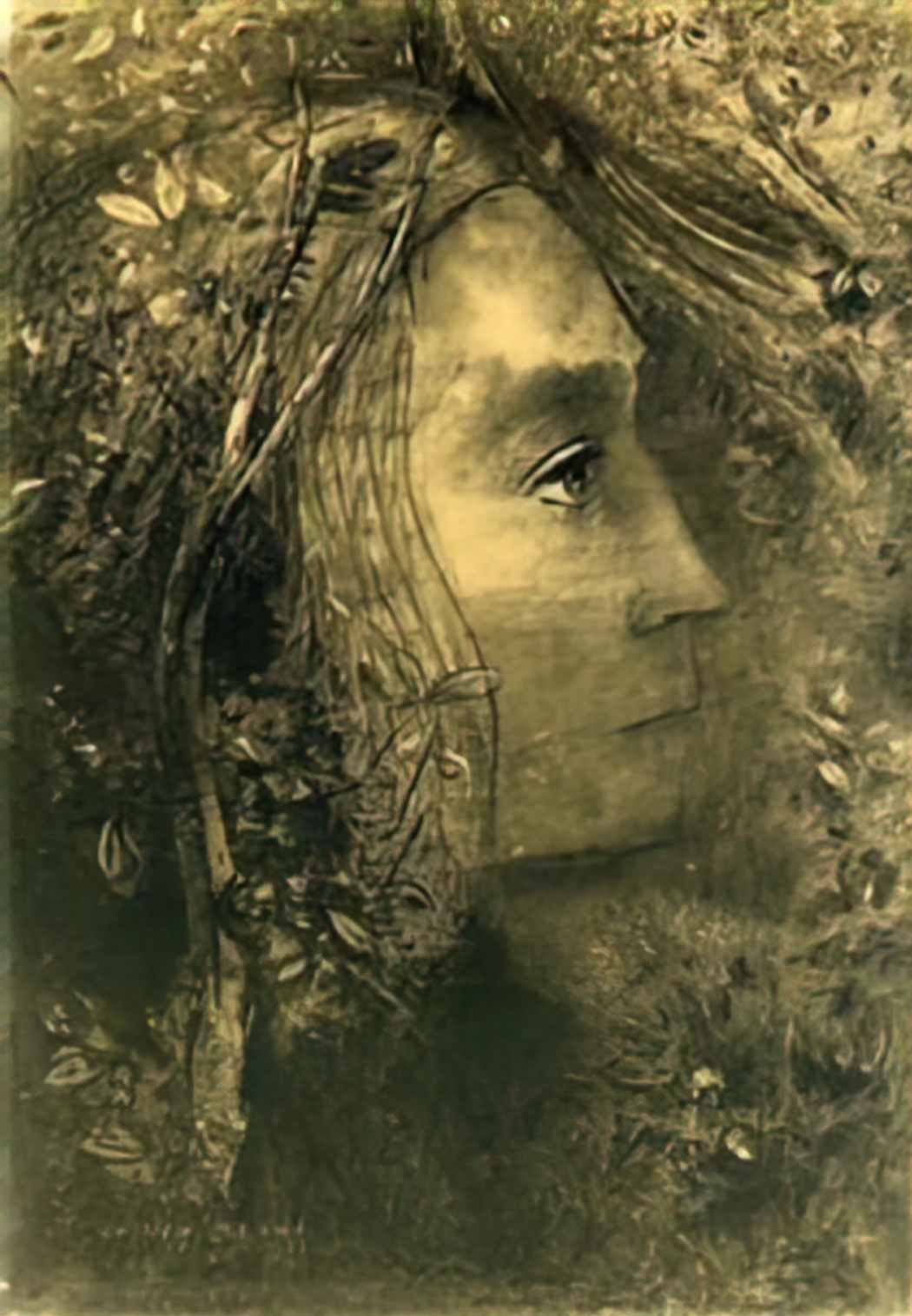 Odilon Redon spring 1883 Art A4 Photo Print