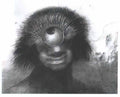 Odilon Redon the origins Art A4 Photo Print