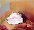 Odilon Redon the seashell 1912 Art A4 Photo Print