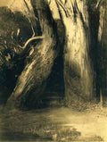 Odilon Redon two trees 1875 Art A4 Photo Print