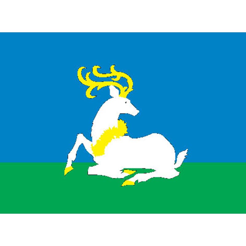 Odintsovo City Flag N384 A4 Photo Print