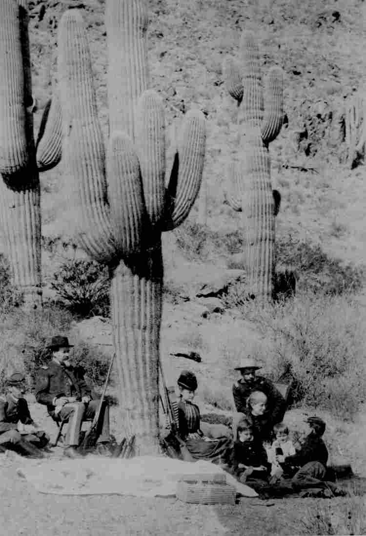 Officers and guests lunch under giant cactus near Fort Thoma Military A4 Photo Print