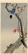 Ohara Koson bullfinch on flowering plum Art A4 Photo Print