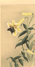 Ohara Koson butterfly and lily Art A4 Photo Print