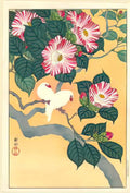 Ohara Koson camellia and rice birds 1929 Art A4 Photo Print