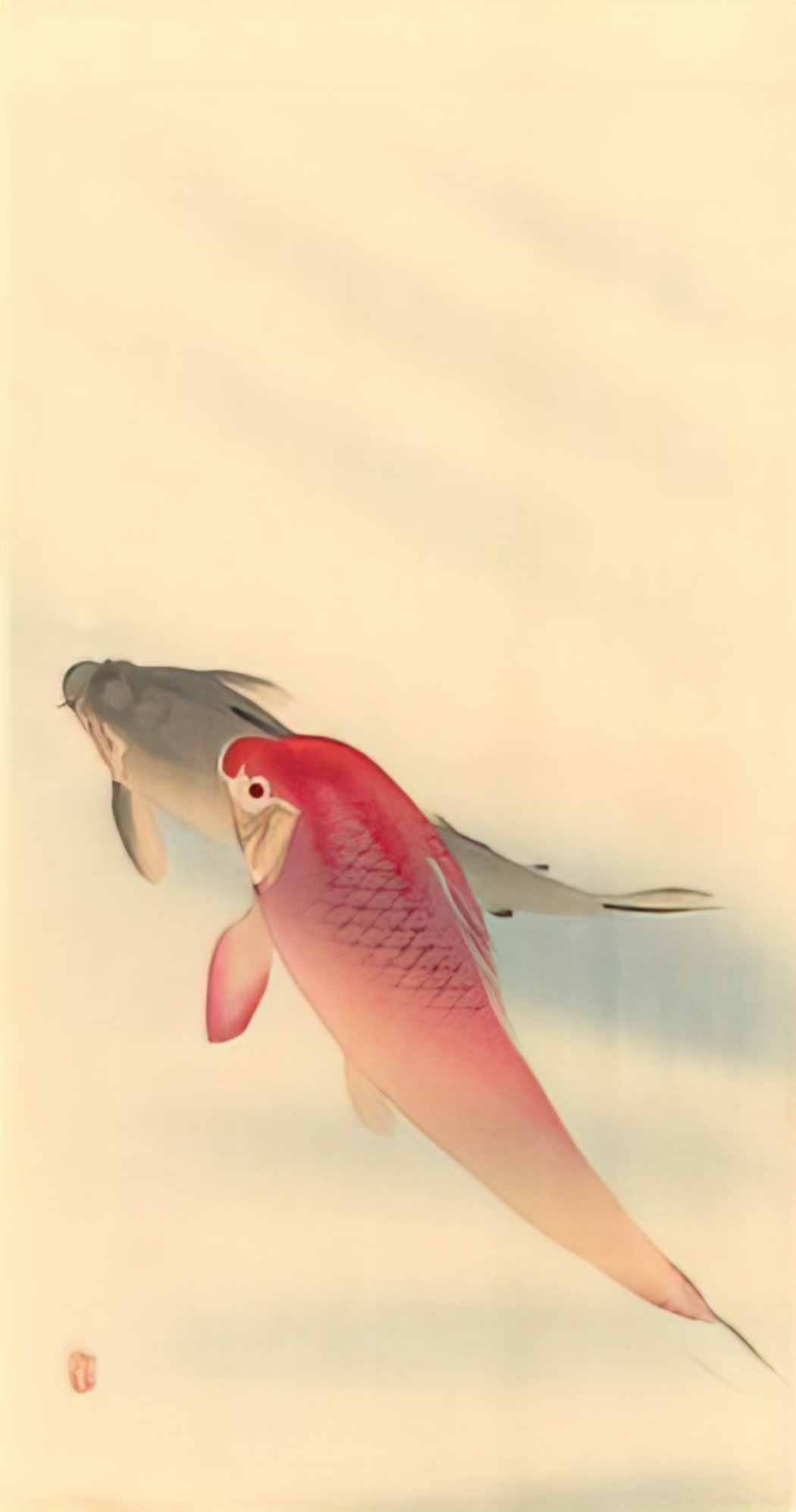 Ohara Koson carps Art A4 Photo Print