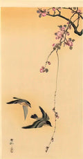 Ohara Koson cherry blossom with birds Art A4 Photo Print