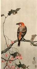 Ohara Koson crossbill Art A4 Photo Print