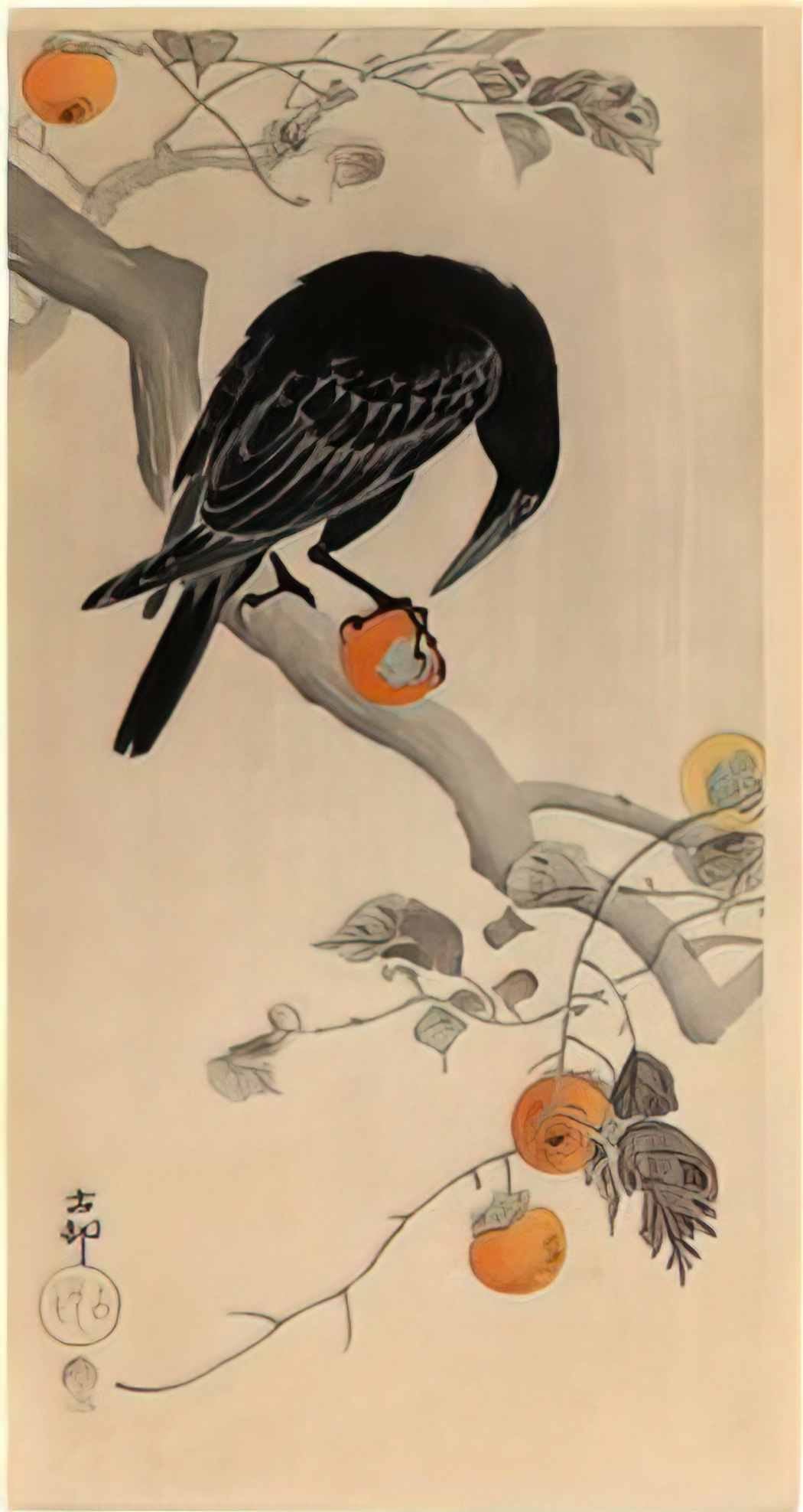 Ohara Koson crow eating a persimmon Art A4 Photo Print