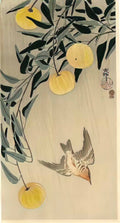 Ohara Koson cuckoo early summer s rain Art A4 Photo Print