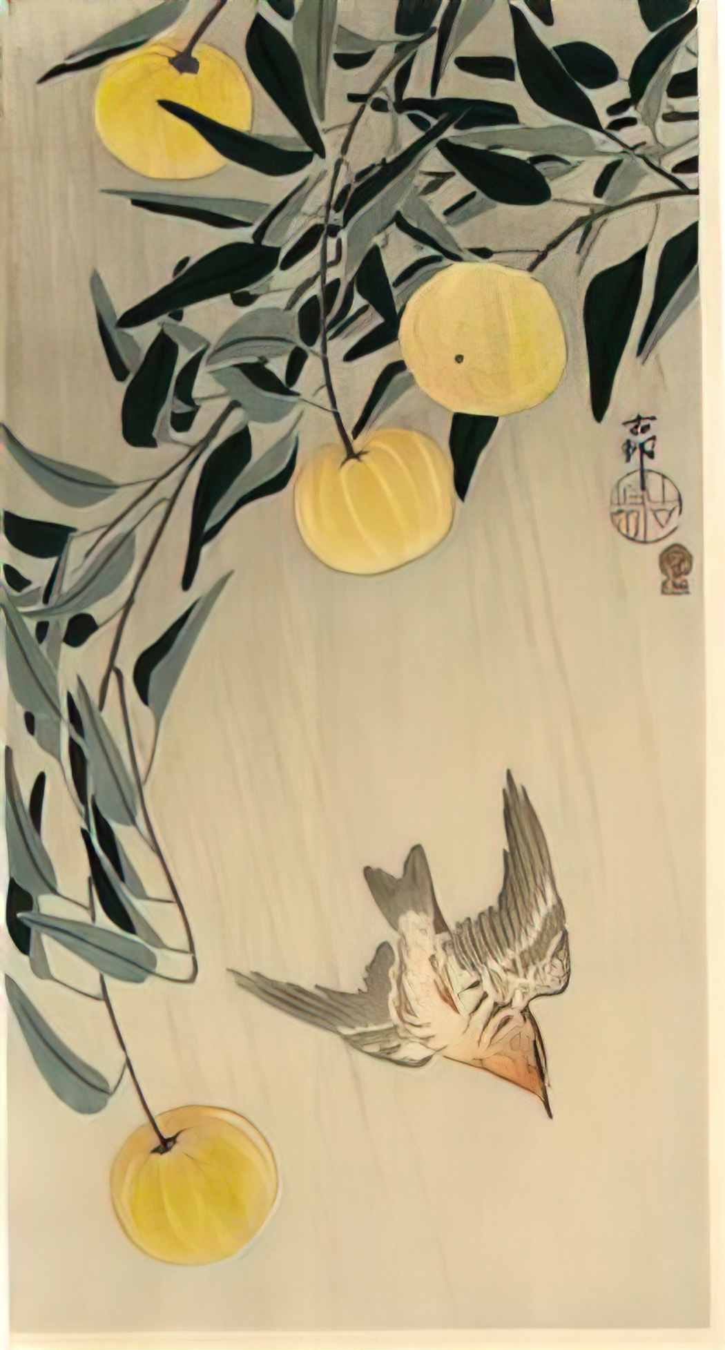 Ohara Koson cuckoo early summer s rain Art A4 Photo Print