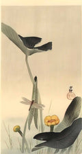 Ohara Koson dragonfly and lotus Art A4 Photo Print