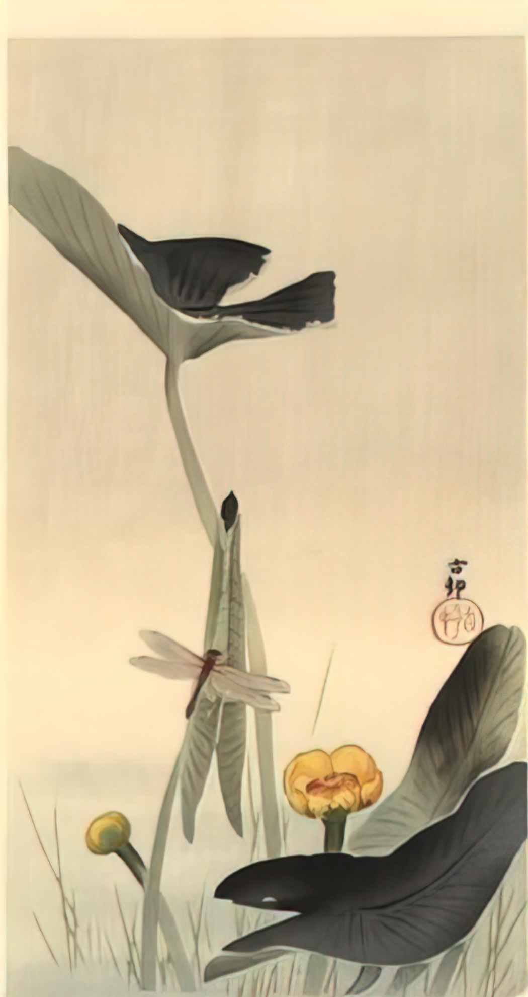 Ohara Koson dragonfly and lotus Art A4 Photo Print