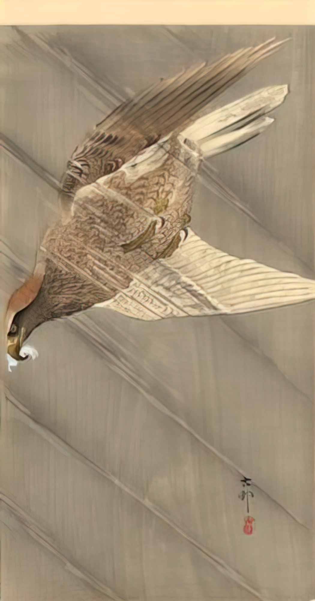 Ohara Koson eagle in descent Art A4 Photo Print
