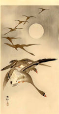 Ohara Koson eight white fronted geese in flight full moon behind Art A4 Photo Print