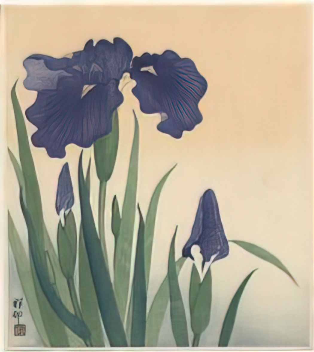 Ohara Koson flowering iris 1934 Art A4 Photo Print