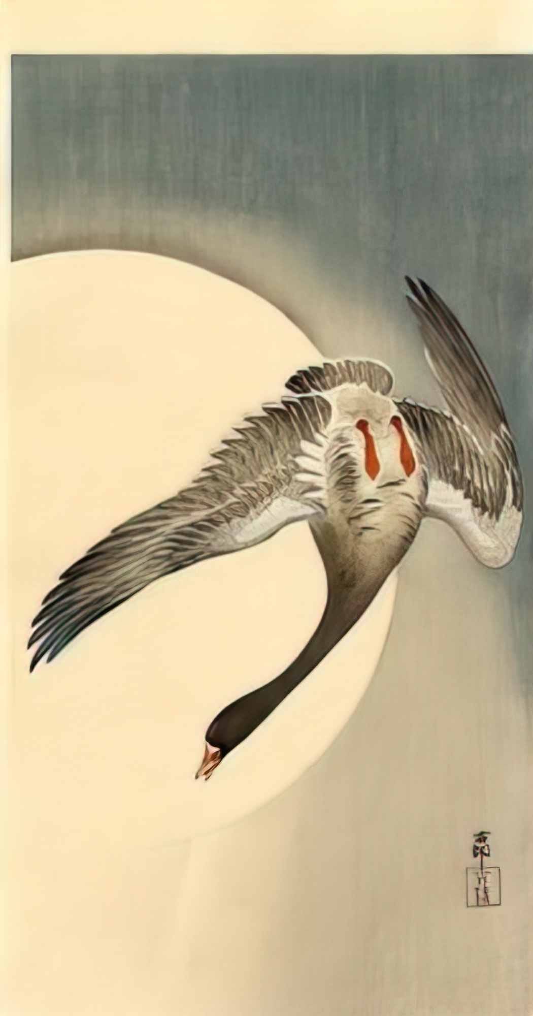 Ohara Koson flying white fronted goose seen from underneath in front Art A4 Photo Print