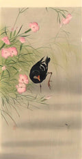 Ohara Koson gallinule bird and water strider Art A4 Photo Print