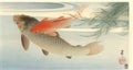 Ohara Koson golden carp Art A4 Photo Print